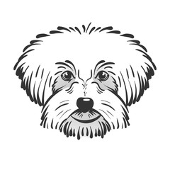 Cute funny cartoon dog for your desing