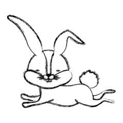 cute rabbit running easter celebration