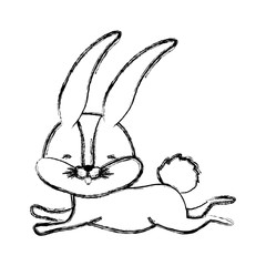 cute rabbit running easter celebration