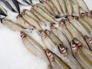 Fresh fish on ice in a supermarket for sale.