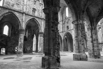 Ruined Abbey Belgium