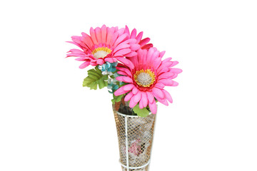 Colorful pink chrysanthemums artificial  flowers blooming in vase  isolated on white background