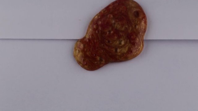 Ceralacca su lettera