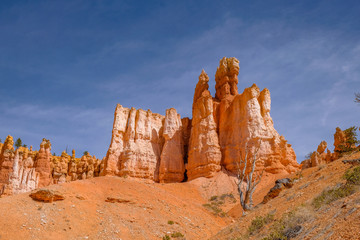 Fototapeta premium Bryce Canyon National Park