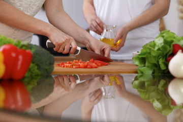 Closeup of human hands cooking in kitchen. Mother and daughter or two female cutting tomato for salad. Healthy meal, vegetarian food and lifestyle concepts
