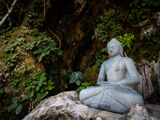 Buddha statue with stone and leaves