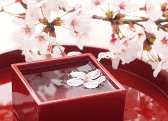 桜酒