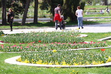 Unrecognizable people walk and relax in the park in springtime. Sunny weather concept. People walk in a park around flowers and blooming orchards. 