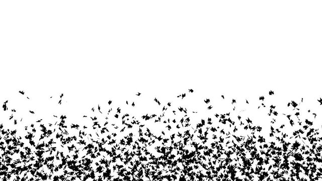 Animated green background dissolving or breaking apart into many very small pieces from top to bottom. Pieces disappear in short time.