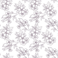 Fototapeta premium Vector hand drawn sakura seamless pattern