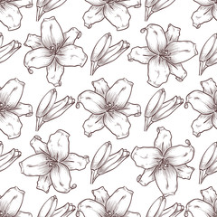 Vector lily seamless pattern of flowers