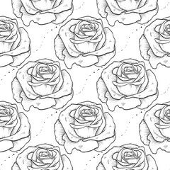 Vector rose seamless pattern of flowers