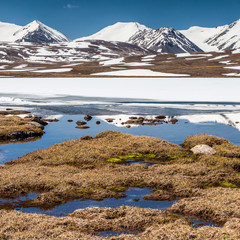 Barskoon (Arabel) Syrts at Issyk Kul Region