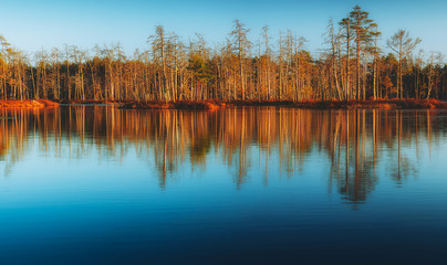 swamp lake