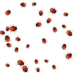 Delicate background with ladybugs. Trendy template for a postcard, stamp, banner or poster. Cute Ladybugs on a white background. Vector
