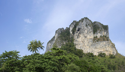 Fototapeta na wymiar Limestone cliff on a Railey beach, Krabi in Thailand