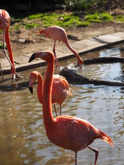 動物園
