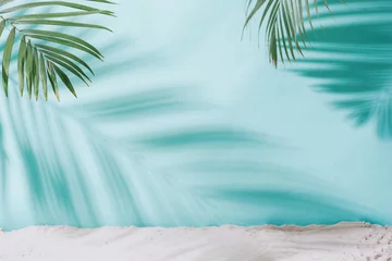 Peel and stick wall murals Spa Summer concept. Palm tree shadow on a blue  background.