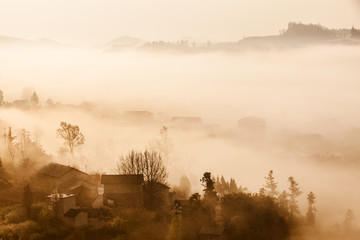 The land is draped in a veil of mist