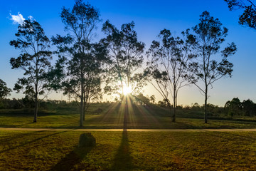 Sunset in the park