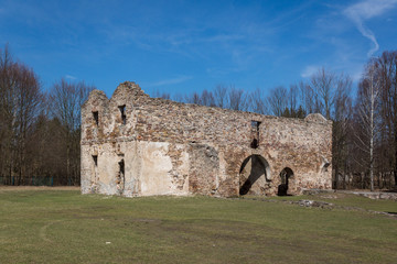 Fototapeta na wymiar Ruins of the smelter in Samsonow, Poland
