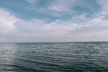 Obraz premium Birds are flying with sky