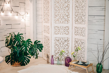 White wooden folding screen, green house tropical plant. Studio decor in white color.