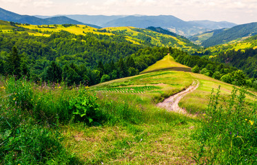 country road along the hill. beautiful summer landscape