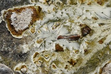 Chloroflexus aurantiacus bacteriam or white pondweed and thermophilic algae live  under shallow hot water in natural hot spring. The swaying white pondweed in shallow water is beautyful background.