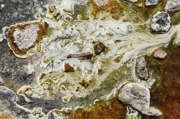 Chloroflexus aurantiacus bacteriam or white pondweed and thermophilic algae live  under shallow hot water in natural hot spring. The swaying white pondweed in shallow water is beautyful background.