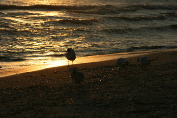 Sonnenaufgang an der Ostsee