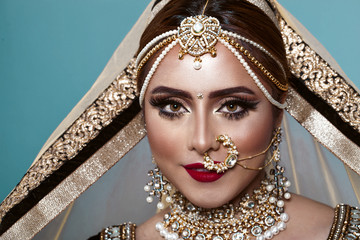 Portrait of beautiful indian girl