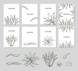 Fototapeta na wymiar Set of templates with Aloe Vera.
