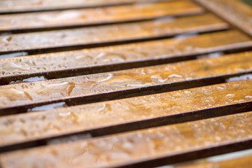 Nasses Holz mit perlenden Wassertropfen 