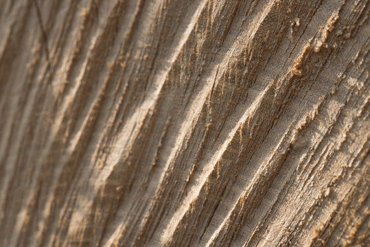 cut wood texture background selective focus