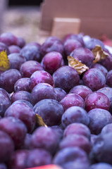 Plums. Blue and purple plums on the local market