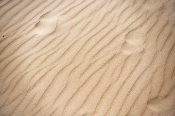 fine yellow sand on the beach