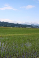 山形県赤湯市の田園