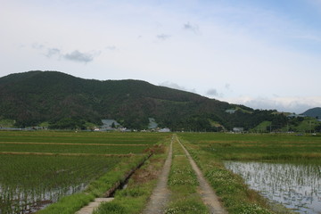 山形県赤湯市の田園