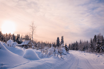 Road in winter forest, country house on the edge of the forest