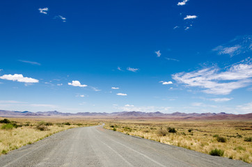 desert road into the distance