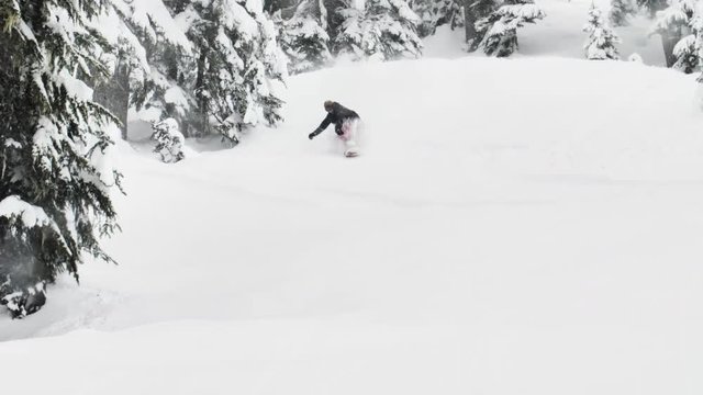 Snowboarding Down Ski Slope Riding Board Wearing Red Pants Black Jacket Flying Powder Snow Flakes Towards Camera - Winter Sports