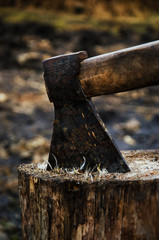 An axe in a stump in color
