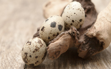 Obraz premium œufs de caille sur fond de bois nature