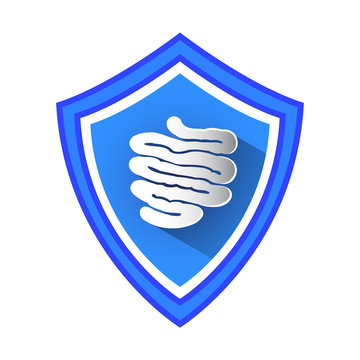 Small Intestine Protection Shield Vector Icon.
