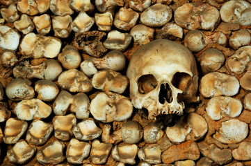 La sonrisa de la calavera