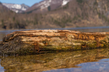 Fotos vom Almsee
