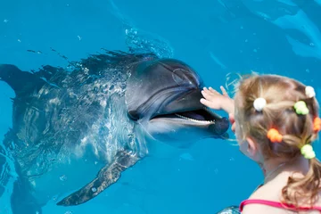 Poster de jardin Dauphin Happy child  hand touch a dolphin