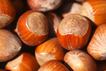 Braune Haselnüsse, Hintergrundbild, Textur