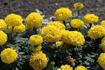 Russia. Chalk monasteries in the Voronezh region